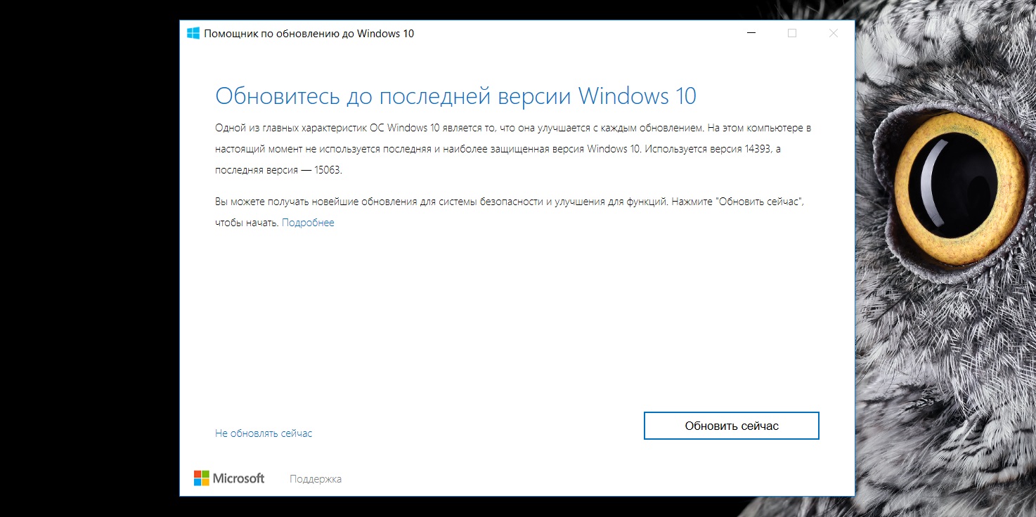 Доступна для загрузки стабильная сборка 15063 Windows 10 Creators Update для ПК